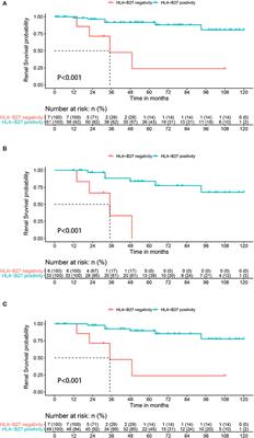 HLA-B27 Negativity Is Associated With Renal Function Decline in Patients With Ankylosing Spondylitis and Secondary IgA Nephropathy